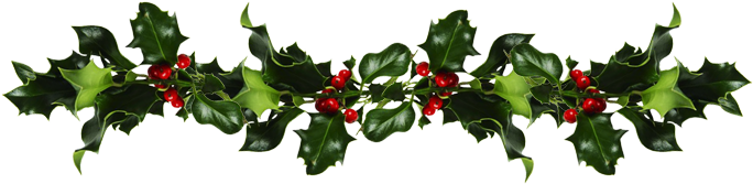 Holly Branch Decoration.png PNG