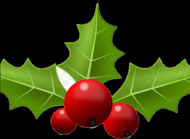 Holly Leaves Berries Clipart PNG