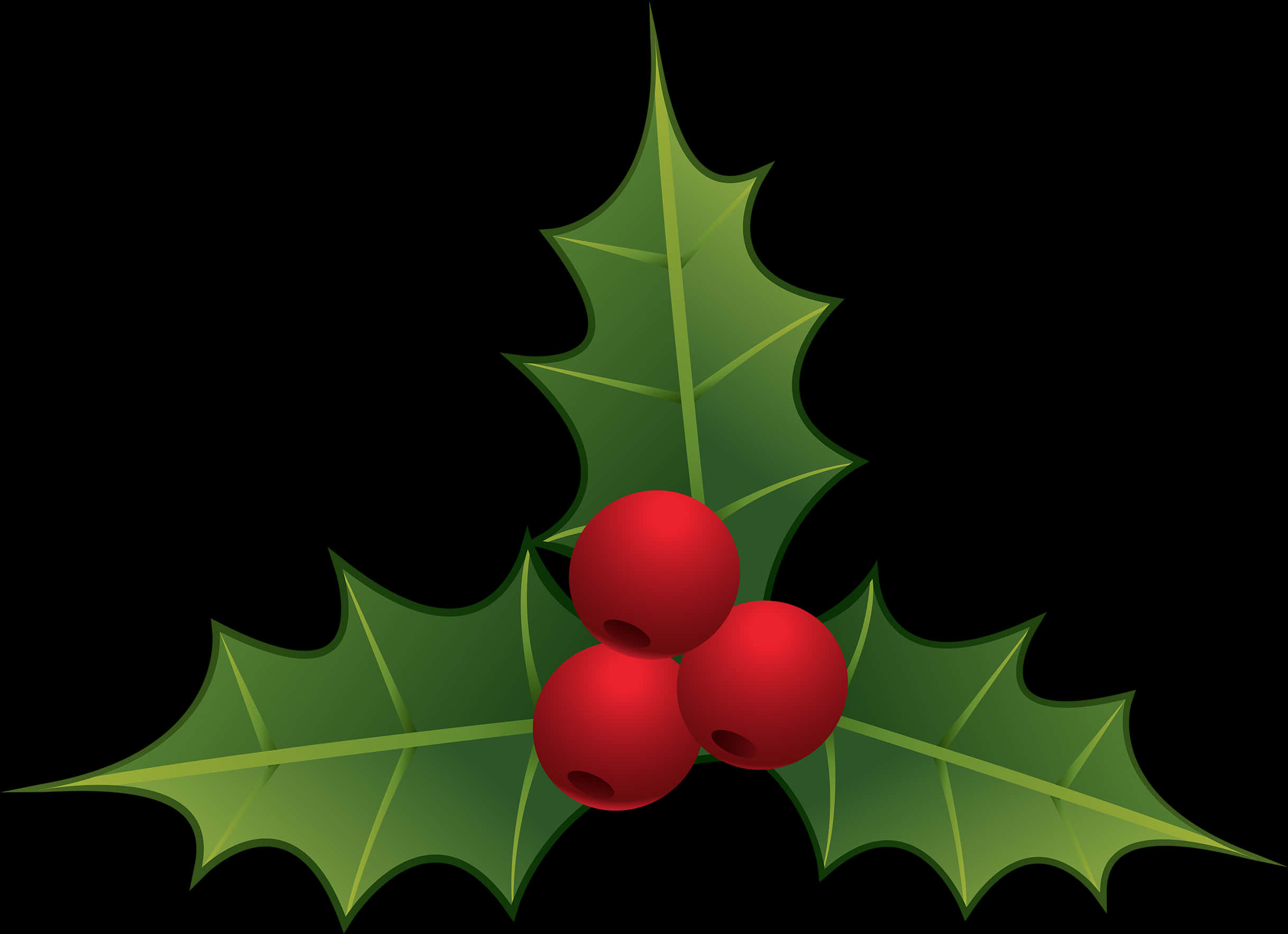 Holly Leaves Berries Clipart PNG