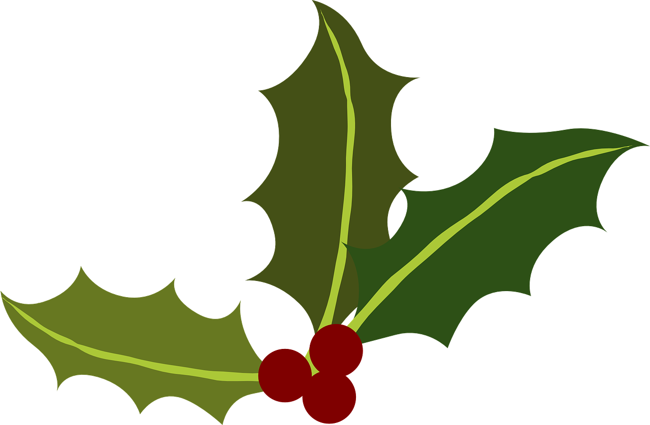 Holly Leavesand Berries Vector PNG