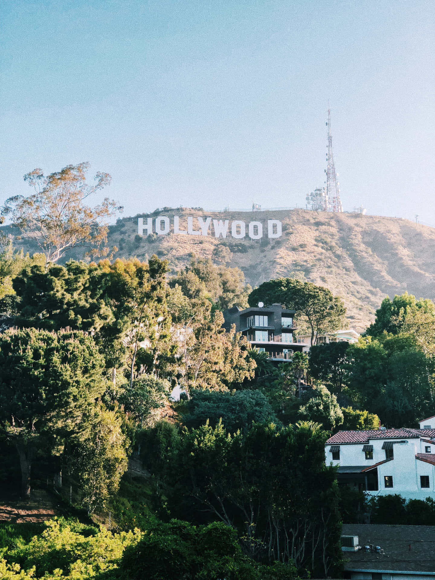 Hollywoodbakgrund Nära Santa Monica Boulevard