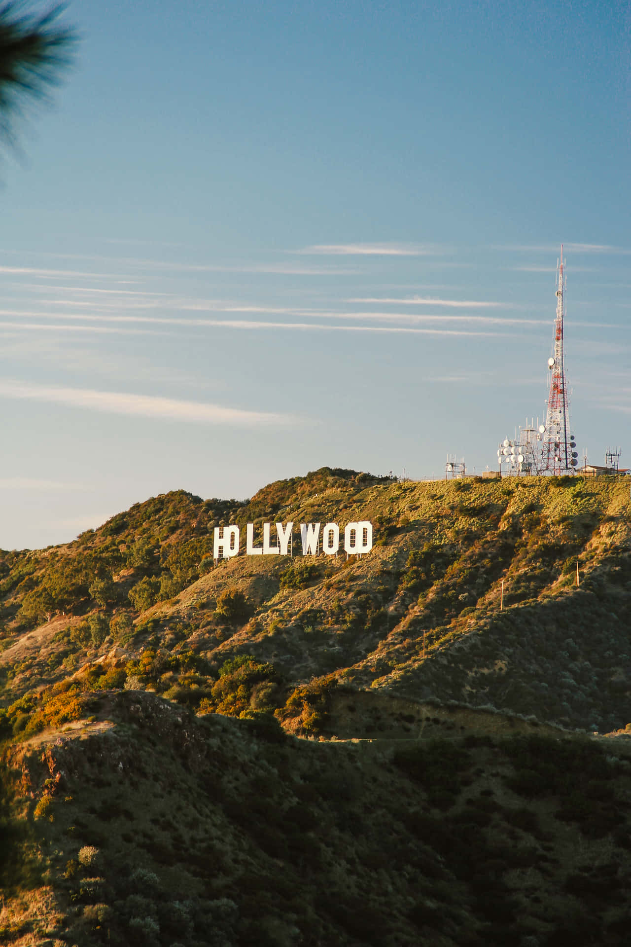 Hollywoodbakgrund Skylt På Solnedgången