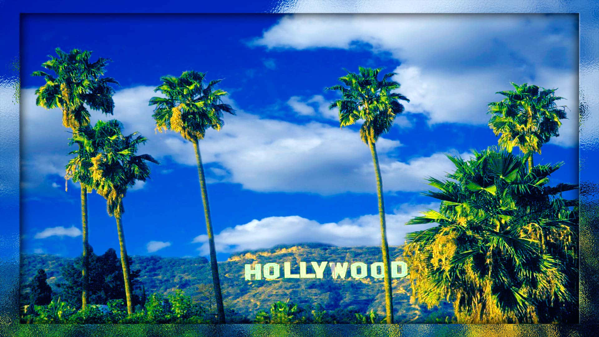 Vibrant Hollywood Background Sign Board With Palm Trees