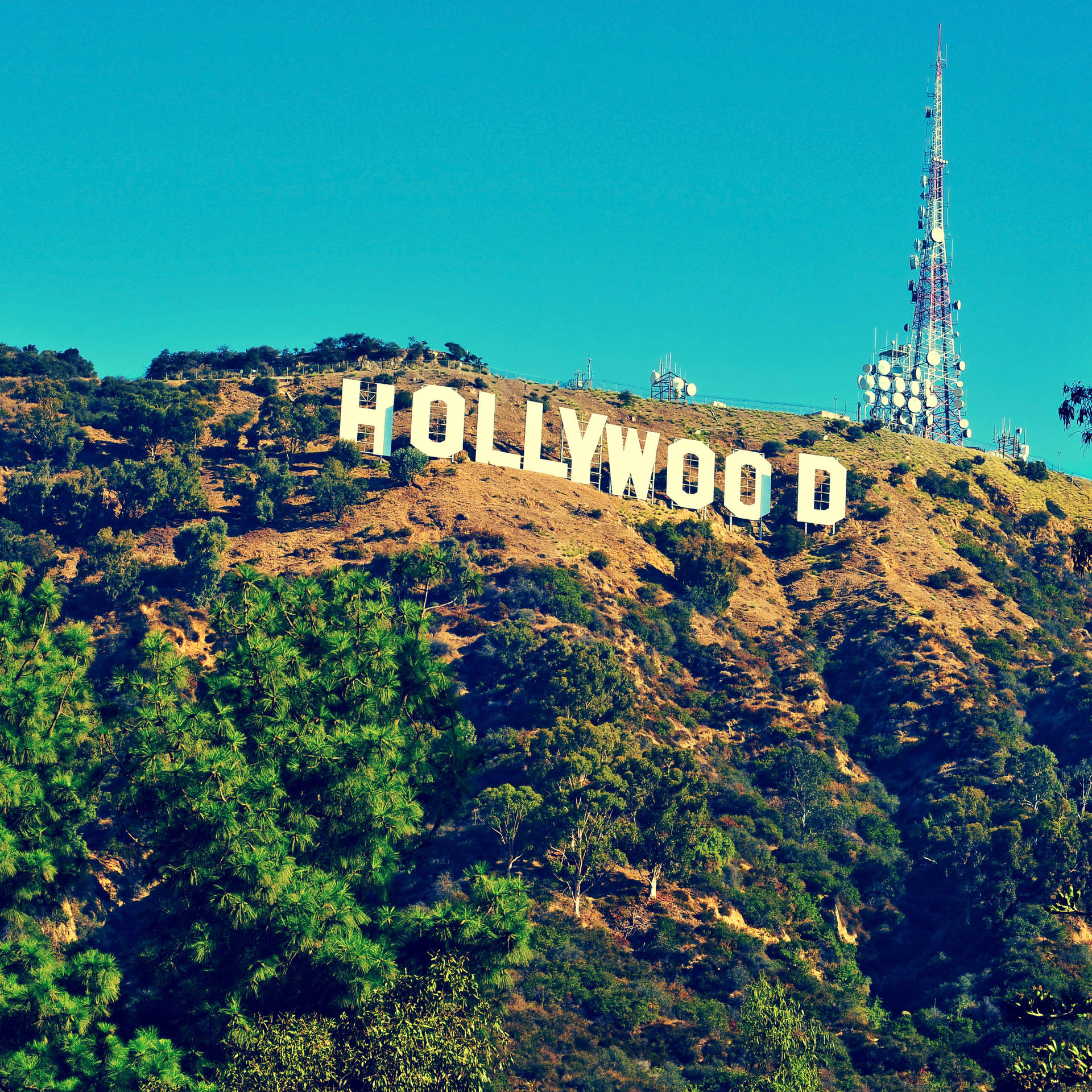 Hollywood Sign Aesthetic Square Picture
