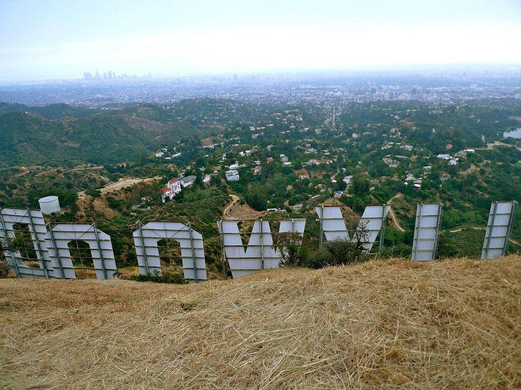 Hollywood Sign Back View Picture