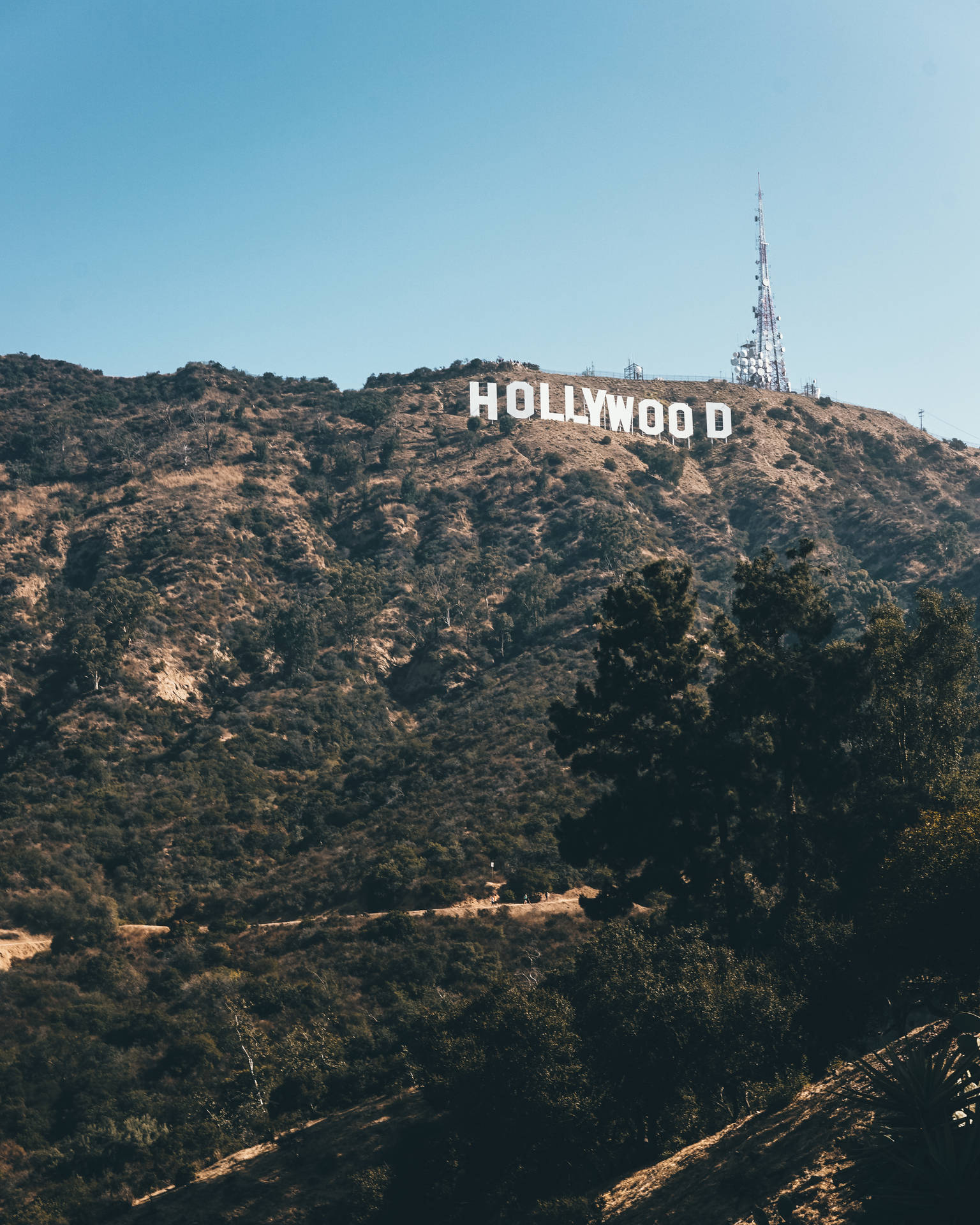 Hollywood Sign In Los Angeles Wallpaper