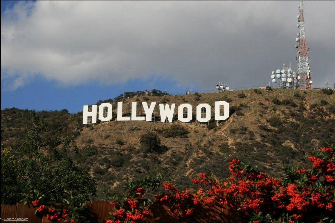 Tapet af Hollywood-skilt med røde blomstrende træer Wallpaper