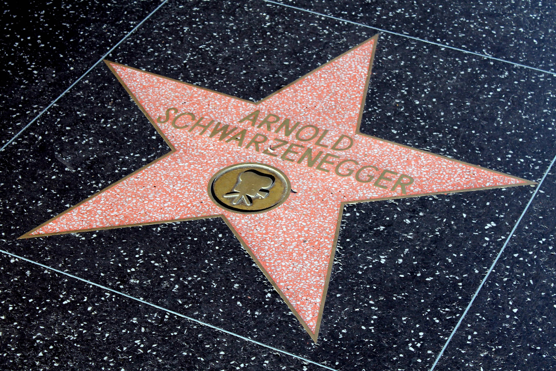 Hollywood Walk Of Fame Arnold Schwarzenegger
