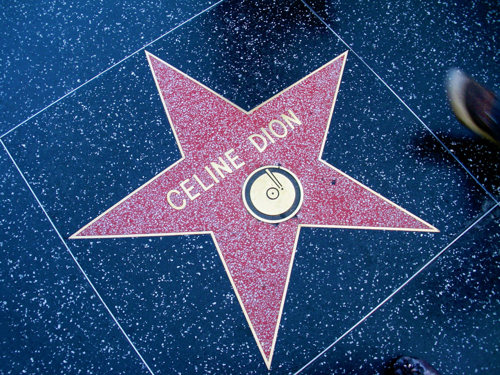 Hollywood Walk Of Fame Celine Dion