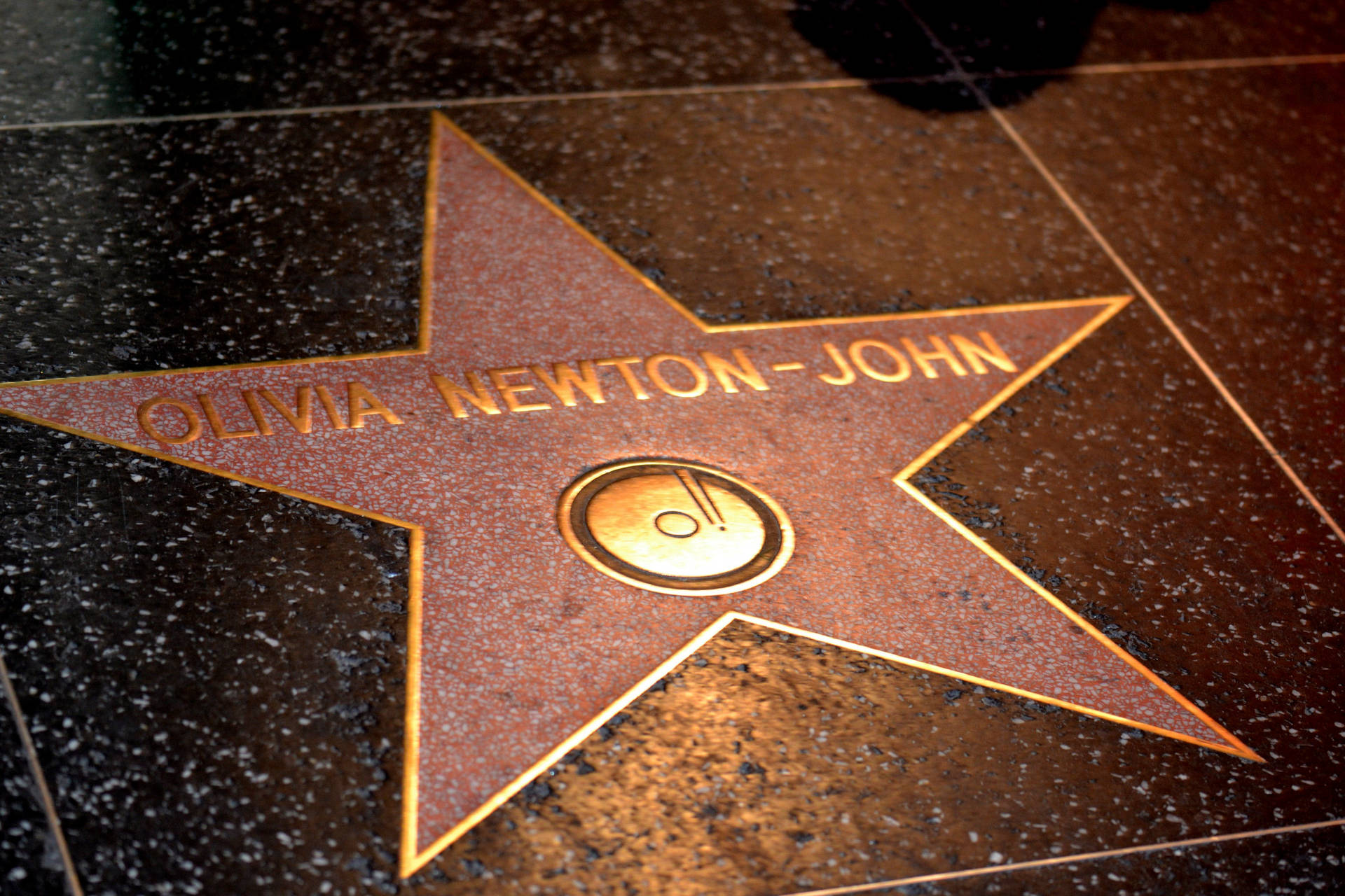 Hollywood Walk Of Fame Olivia John Wallpaper
