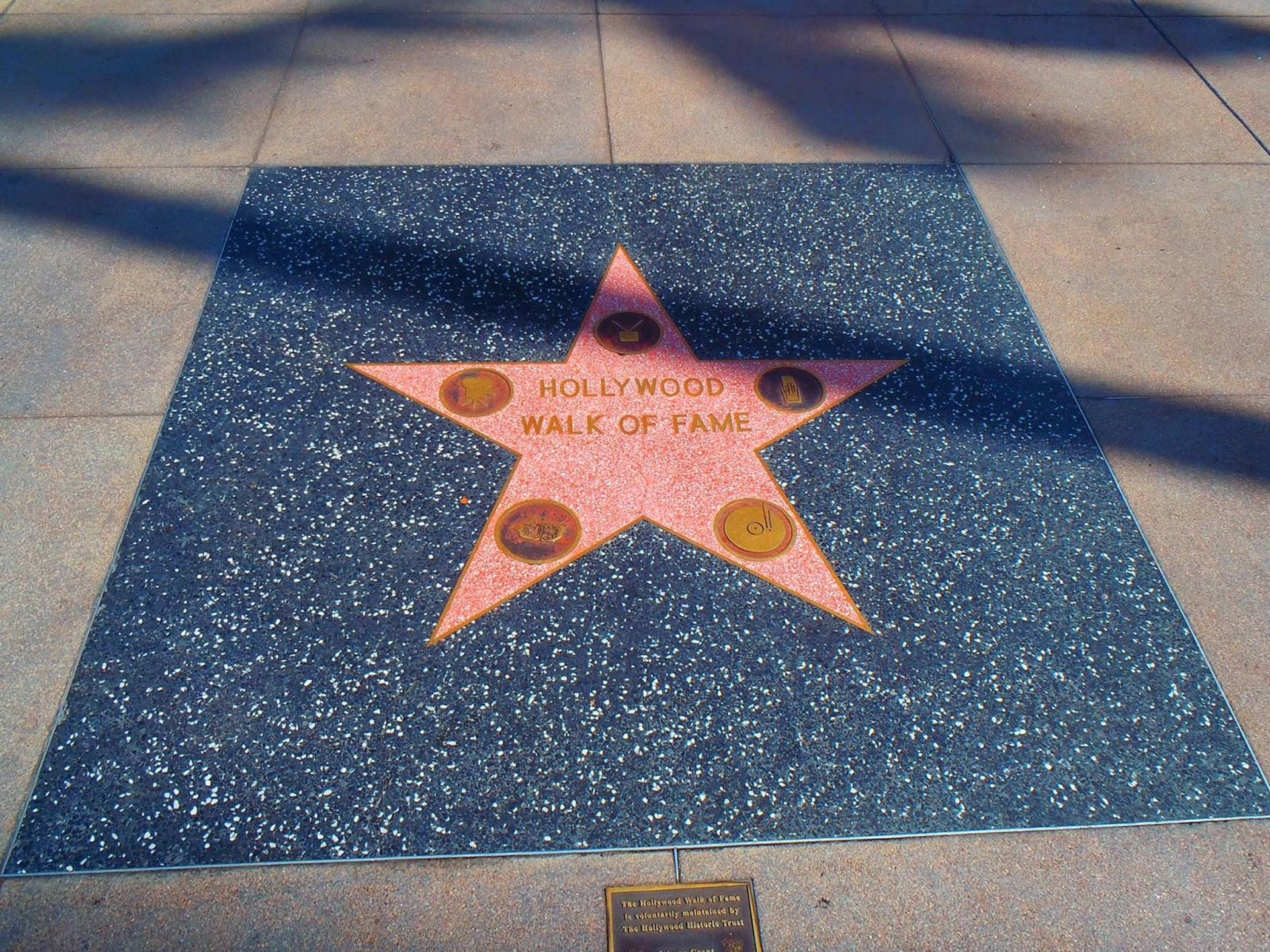 Hollywood Walk Of Fame Symbol Wallpaper