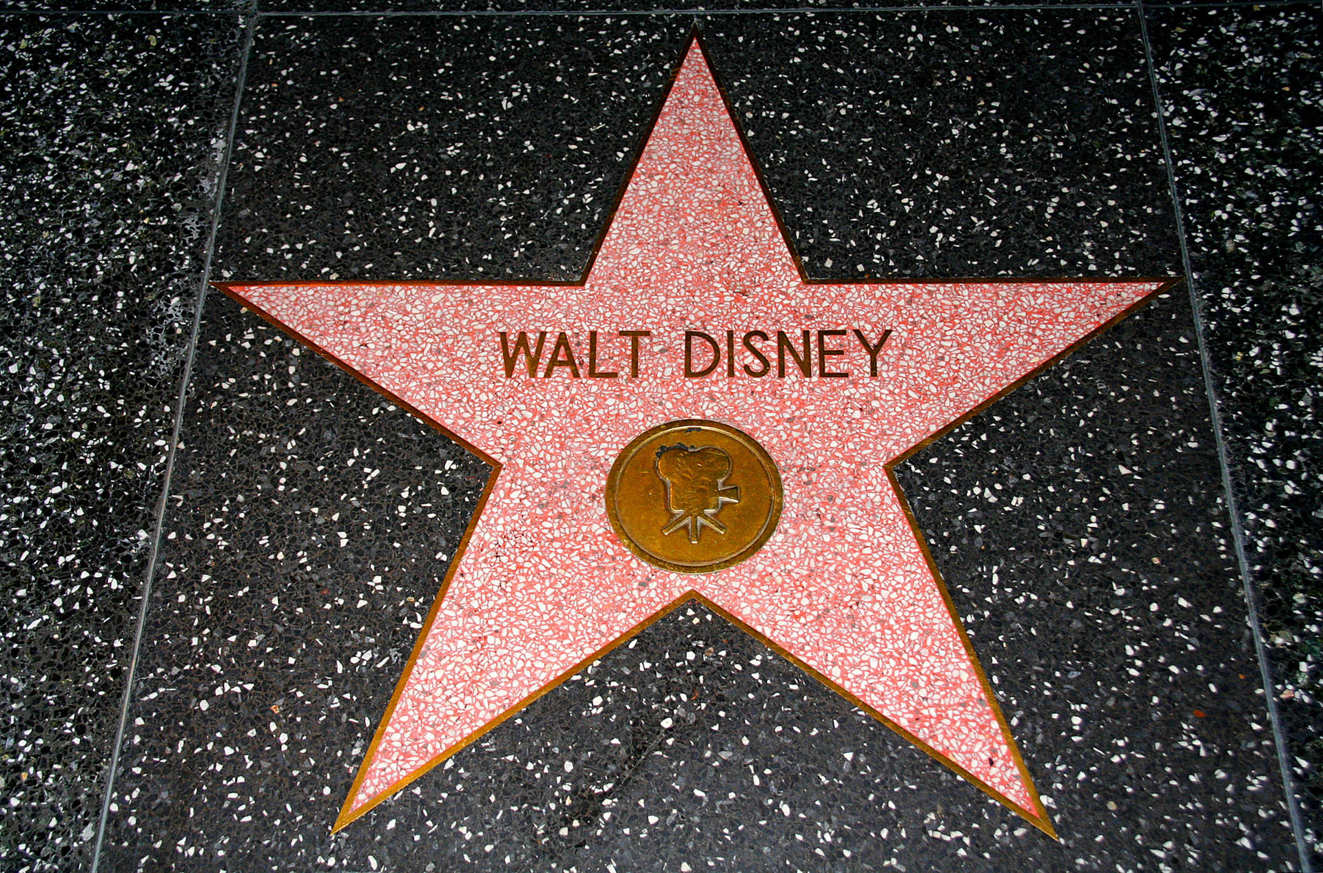 Hollywood Walk Of Fame Walt Disney Wallpaper