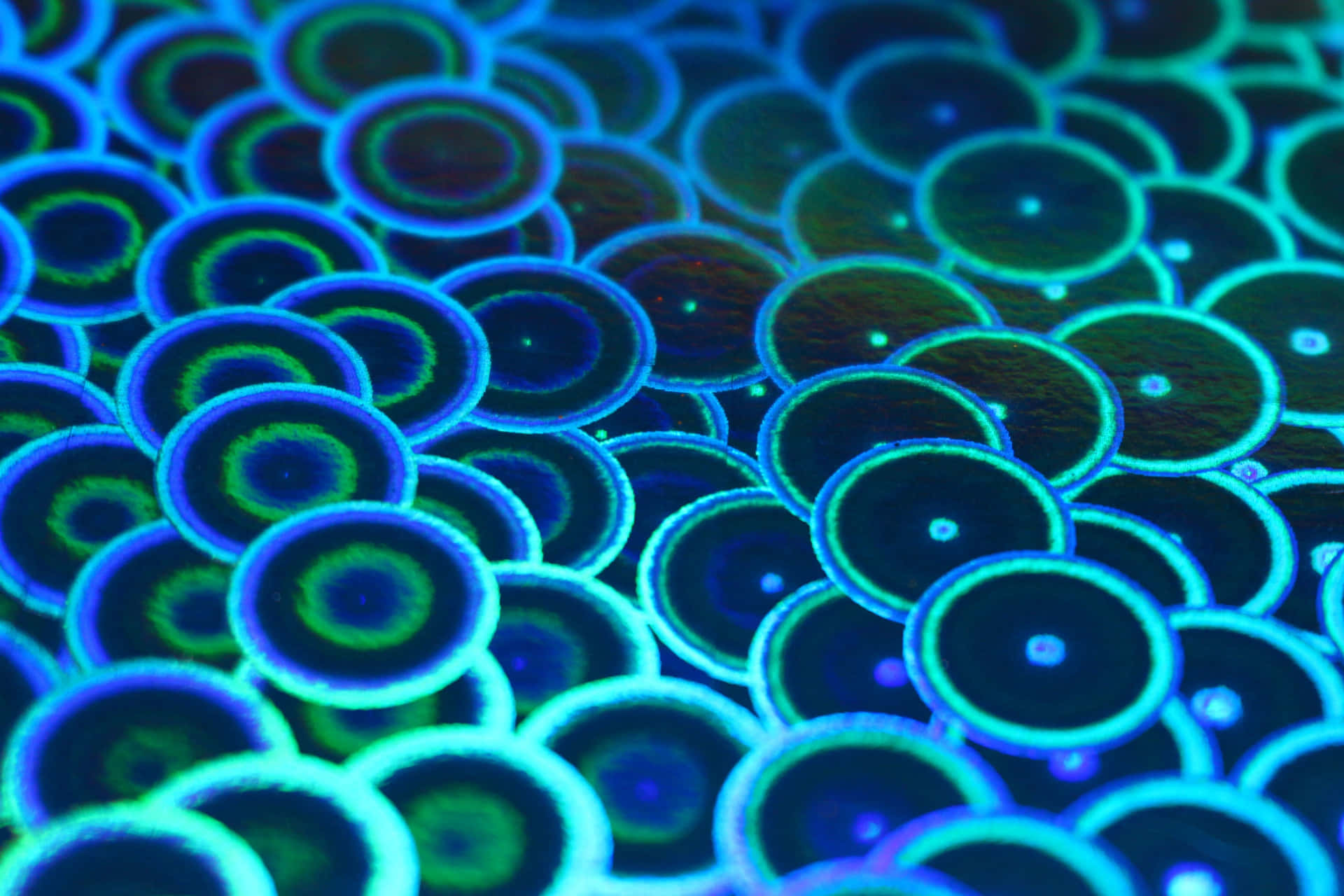 a close up of blue and green circles