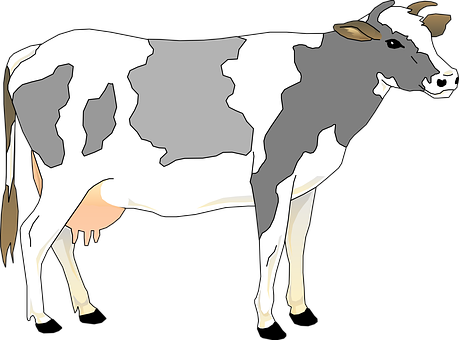 Holstein Friesian Cow Illustration PNG