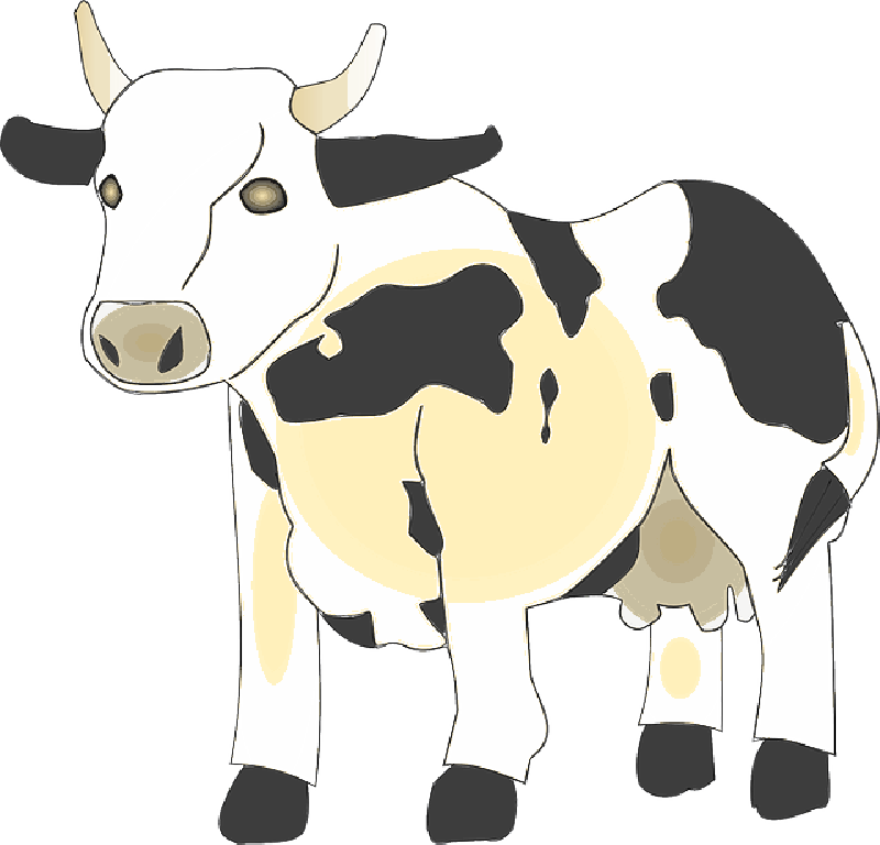 Holstein Friesian Dairy Cow Illustration PNG