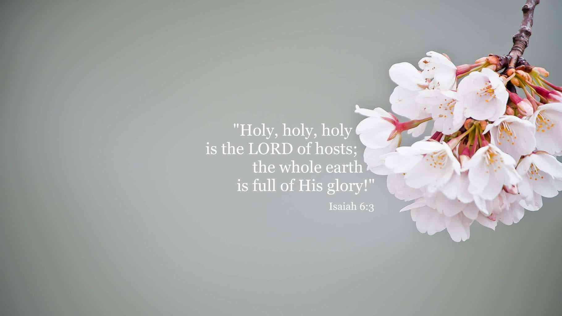 Holy Blossoms Bible Verse Background Wallpaper