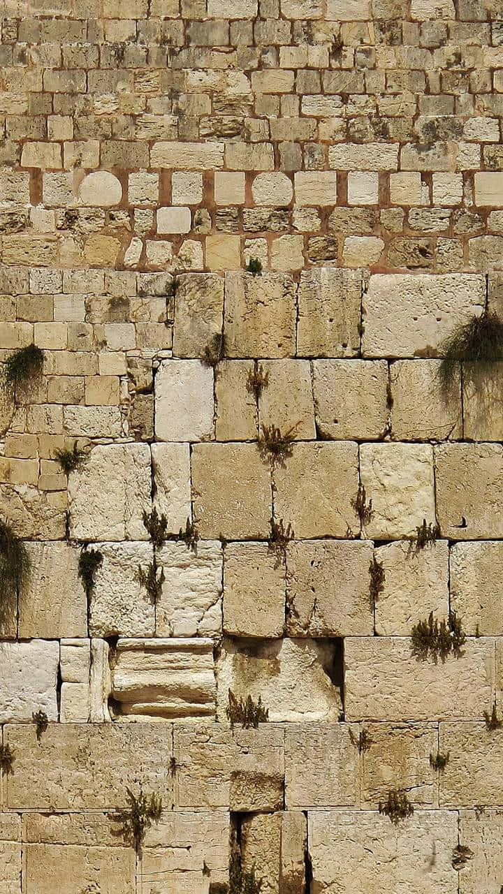 Holy Ground History Wailing Wall Wallpaper