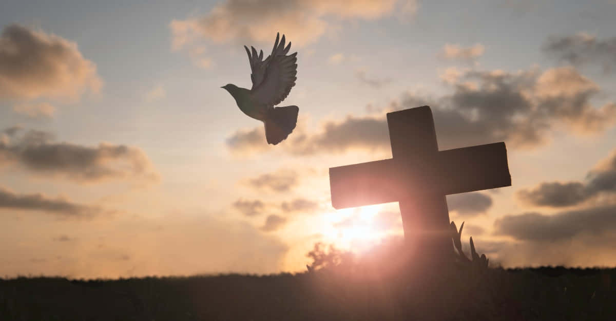 A Dove Flying Over A Cross At Sunset Wallpaper