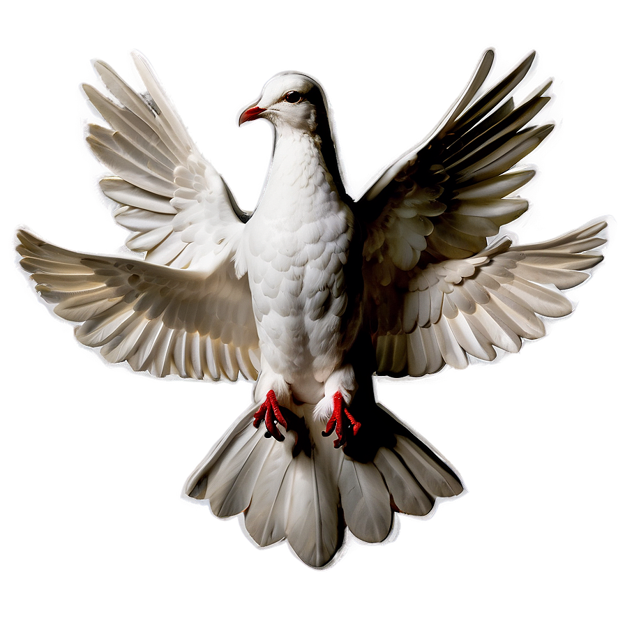 Holy Spirit Dove Png 94 PNG