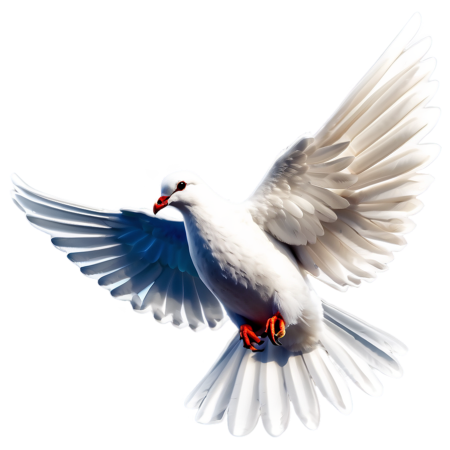 Download Holy Spirit Dove Png Dnk | Wallpapers.com