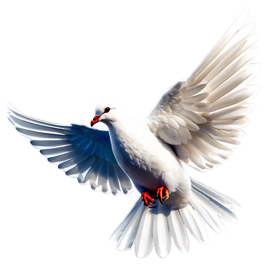 Holy Spirit Dove Png Dnk PNG