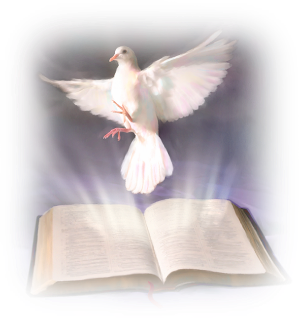 Holy Spirit Doveand Bible PNG