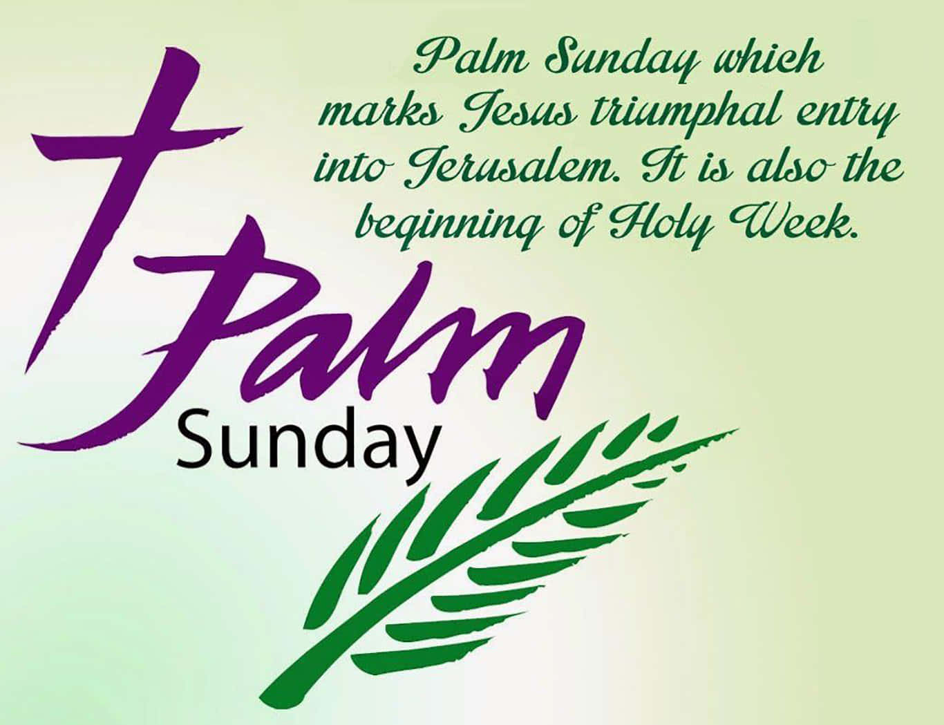Palm Sunday - A Green And Purple Banner With The Words Wallpaper