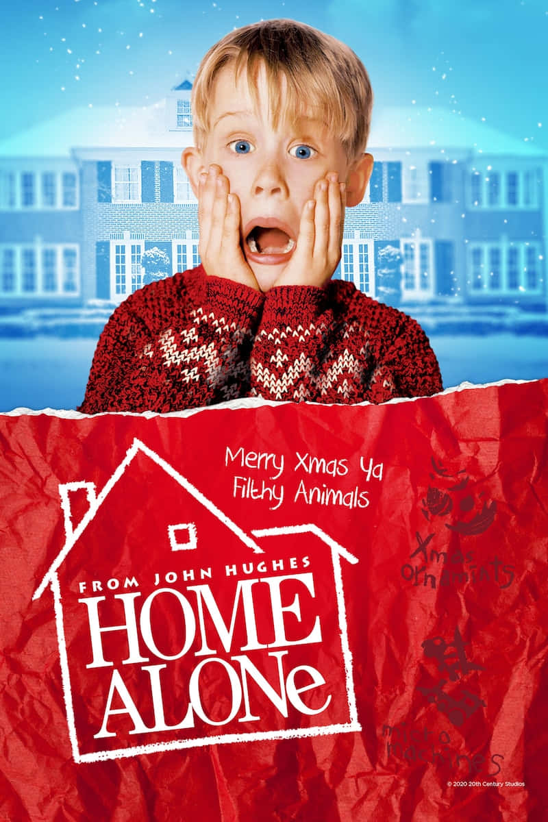 Home Alone Pictures