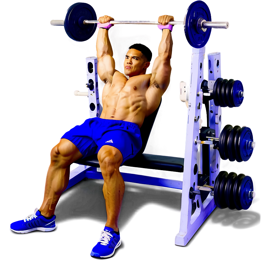 Home Bench Press Setup Png 06132024 PNG