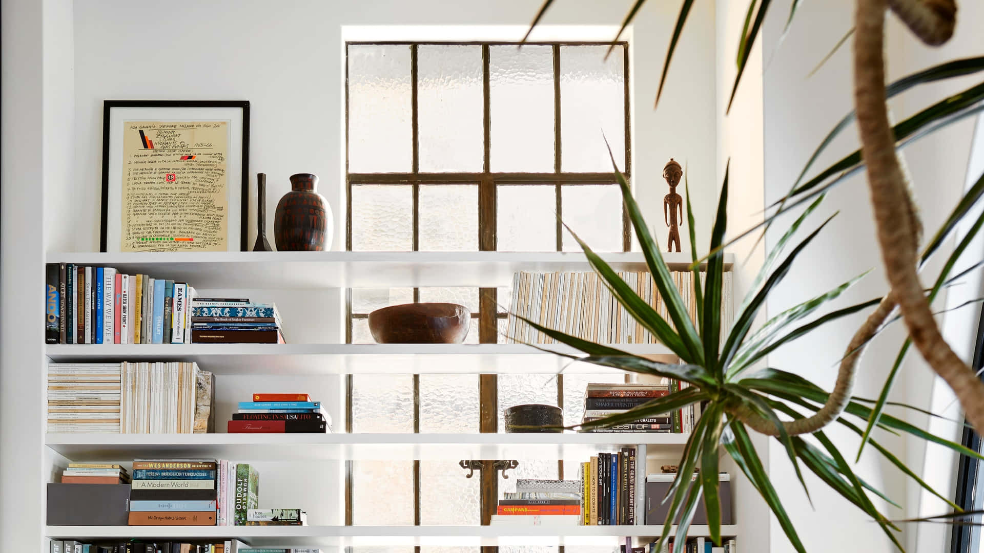 Home Library White Shelf Plants Wallpaper