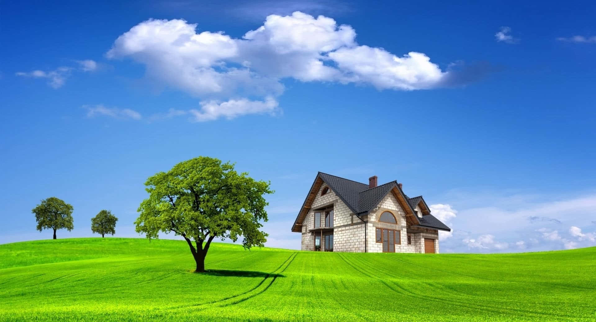 Einhaus Auf Einem Grünen Feld Mit Bäumen Und Wolken