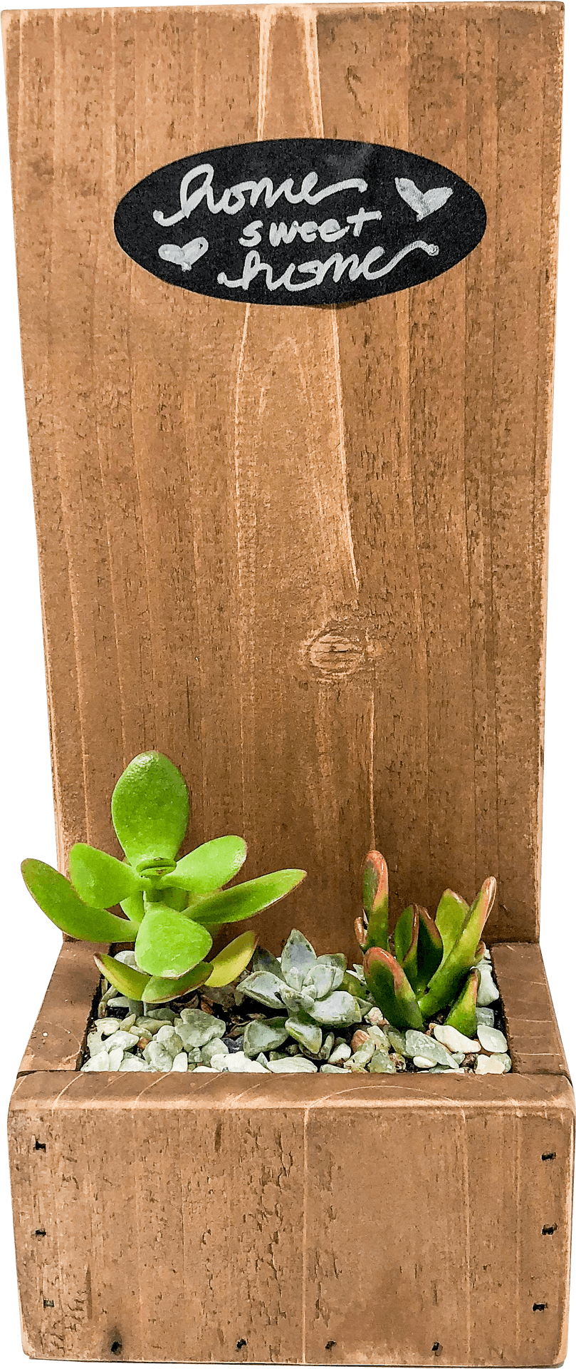 Home Sweet Home Succulent Planter PNG
