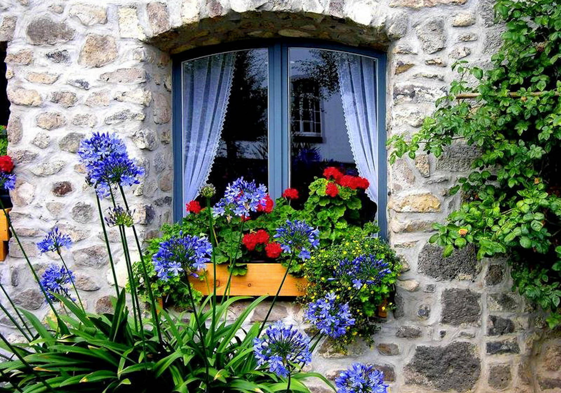 Home Sweet Home Window Wallpaper