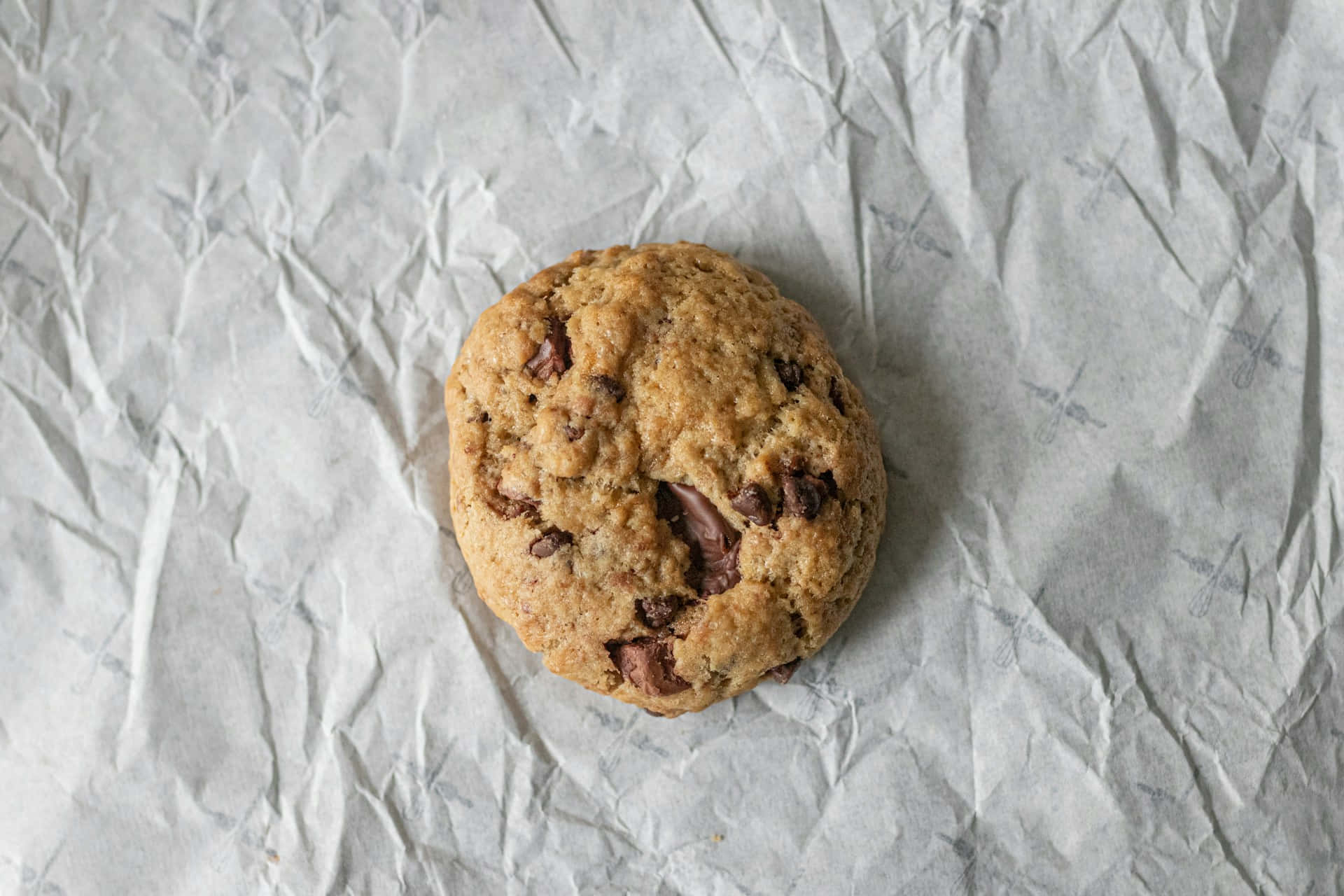 Homemade Chocolate Chip Cookieon Paper Wallpaper