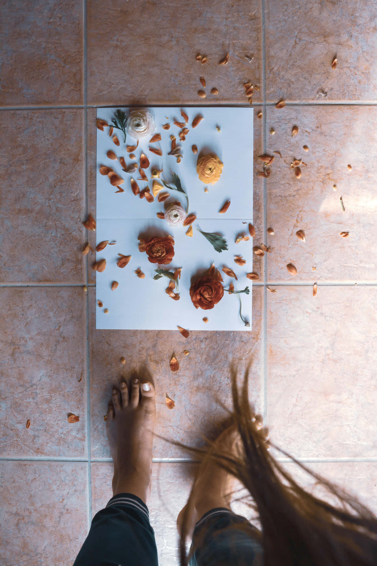 Homeopathic Dried Petals Photoshoot Wallpaper