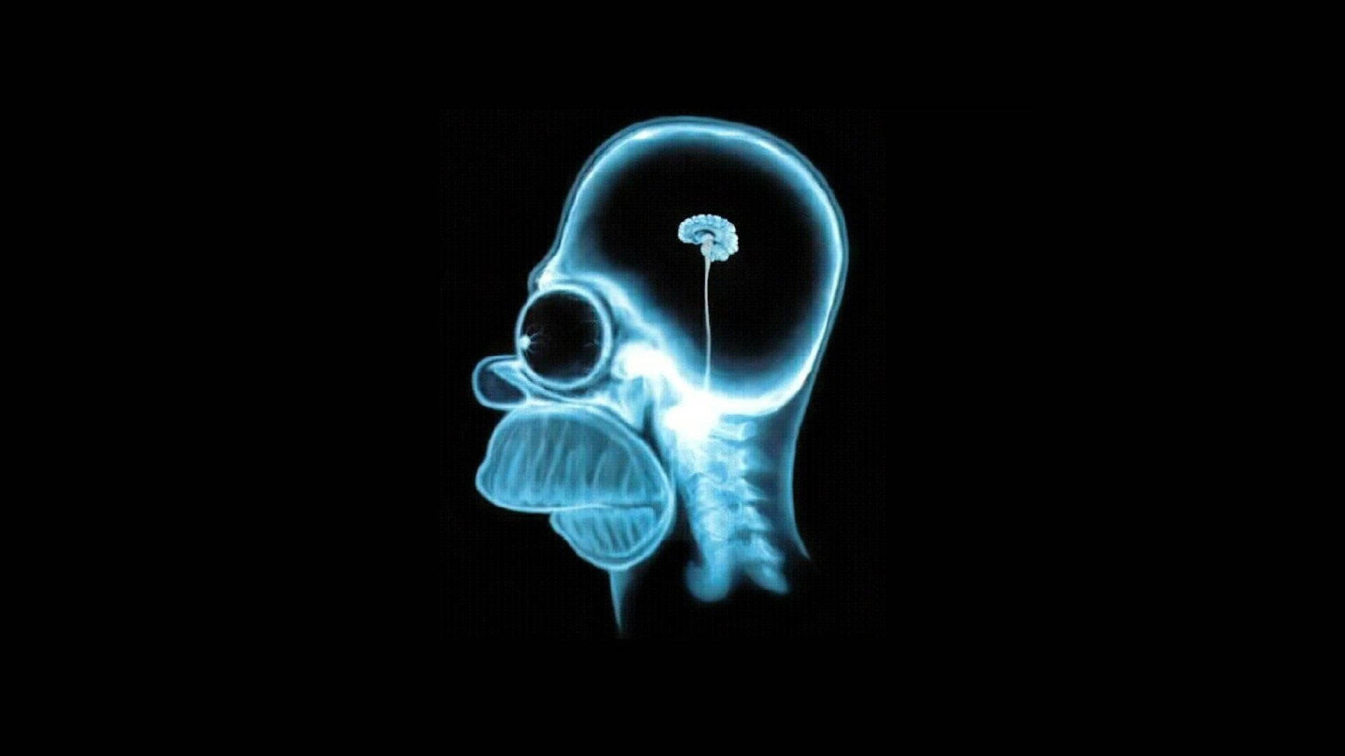 Homer Simpson Brain Scan Wallpaper