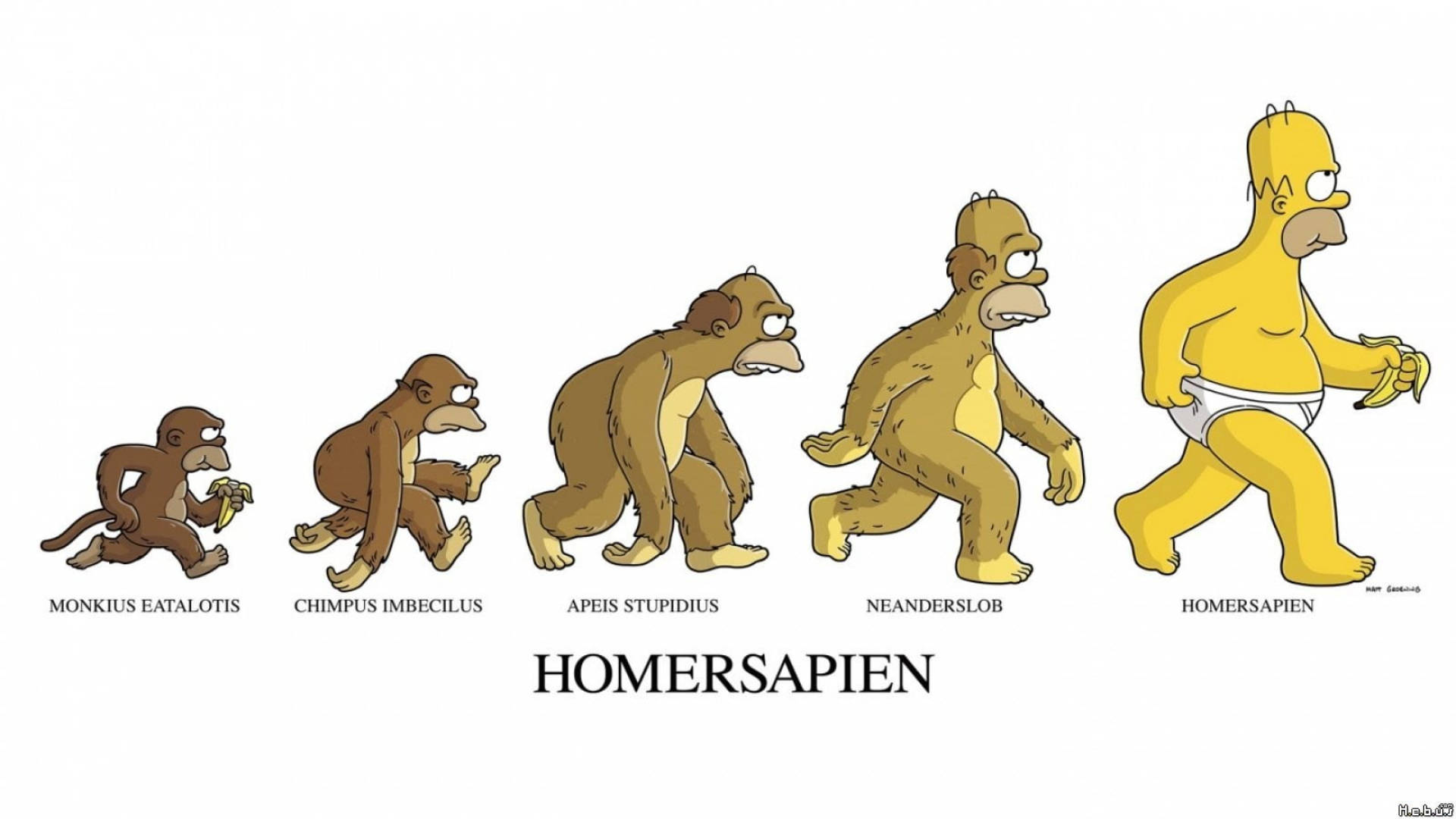 Evoluciónde Homer Simpson Fondo de pantalla