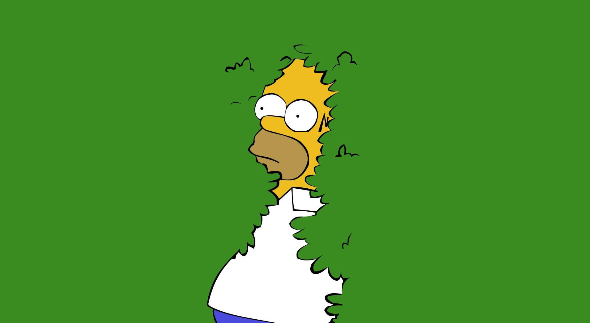Homer Simpson in a "funny moment". Wallpaper
