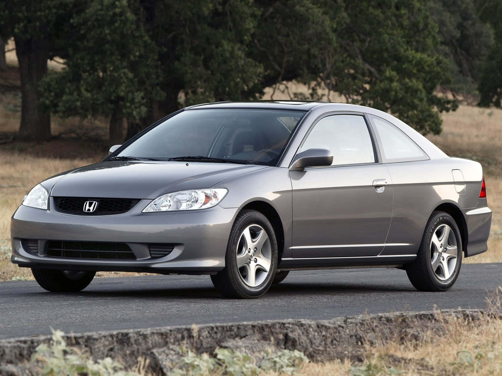 Sleek and Stylish - The Honda Civic