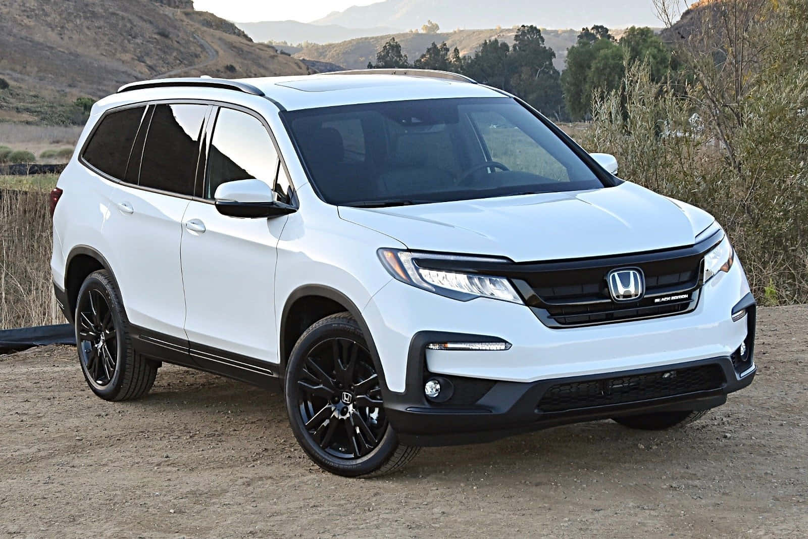 Sophisticated exterior design and economical performance come together in the Honda Pilot.