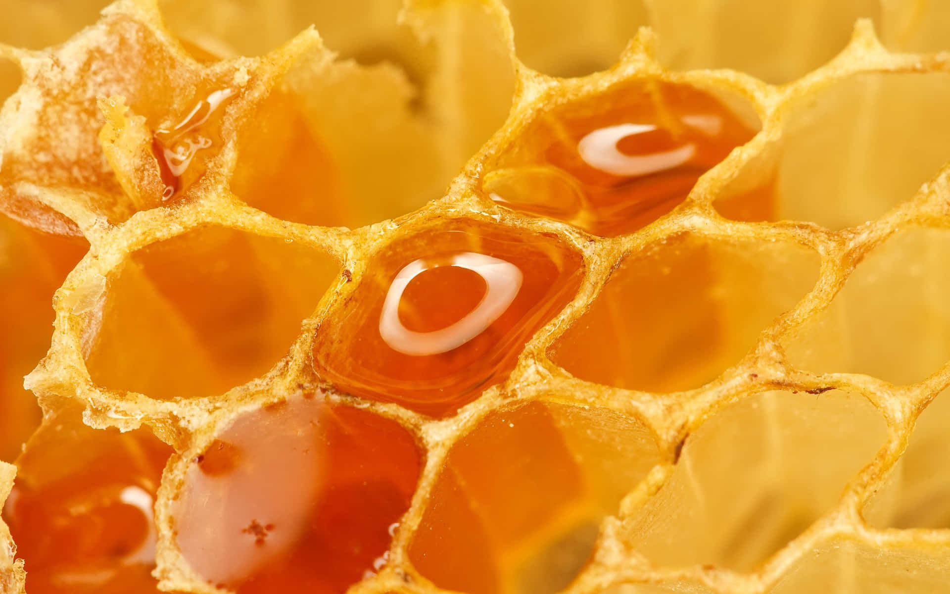 Honeycomb With Honey And Honeycomb