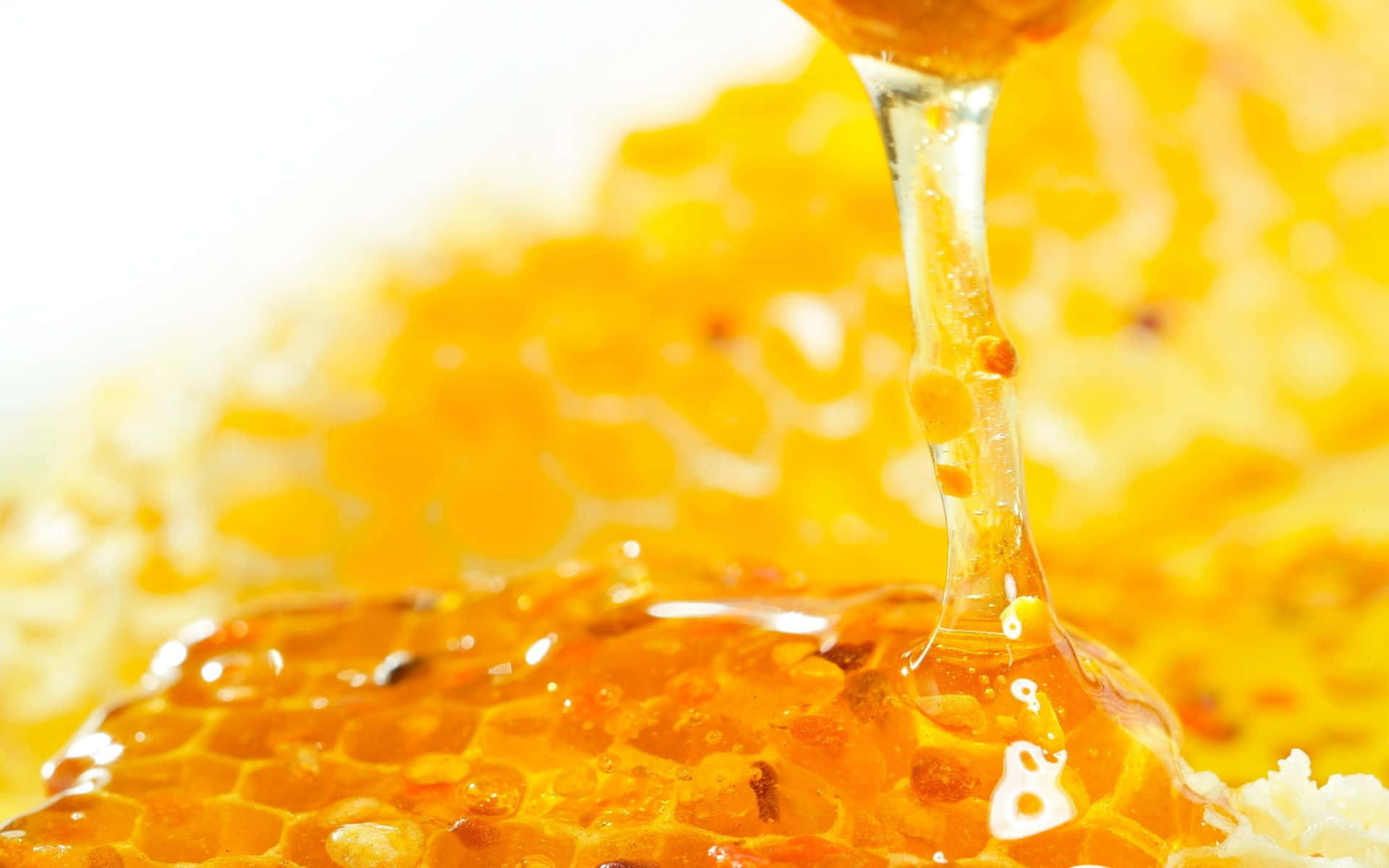 1,000+ Best Honey Photos · 100% Free Download · Pexels Stock Photos