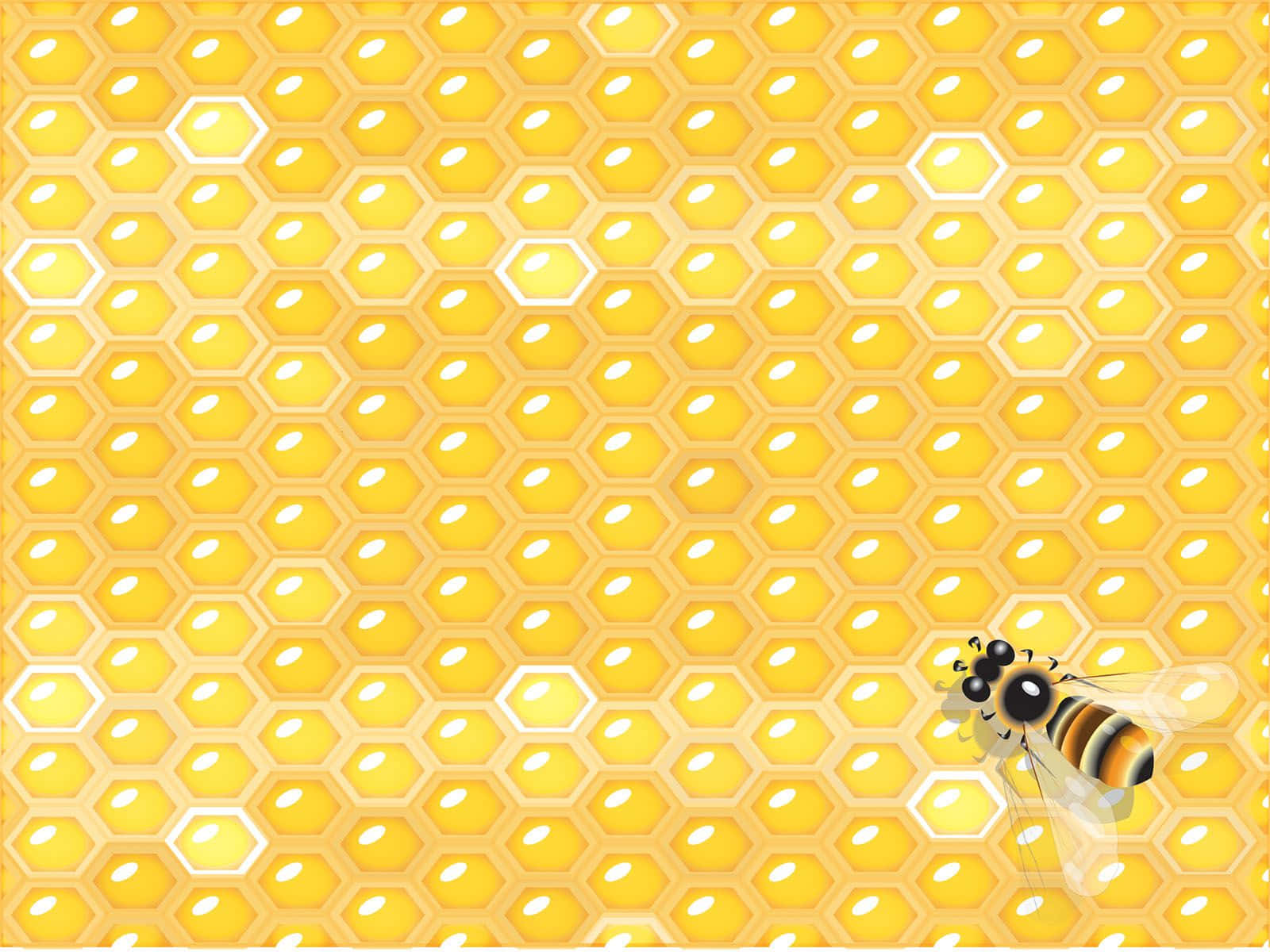 Bee On Honeycomb Background Vector