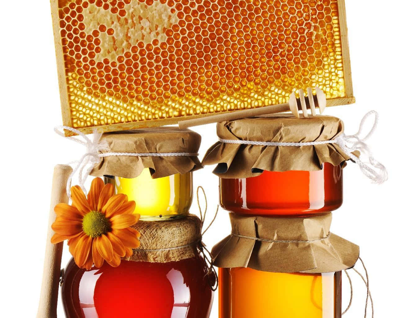 "Harvesting Sweet Honey From Beehives"