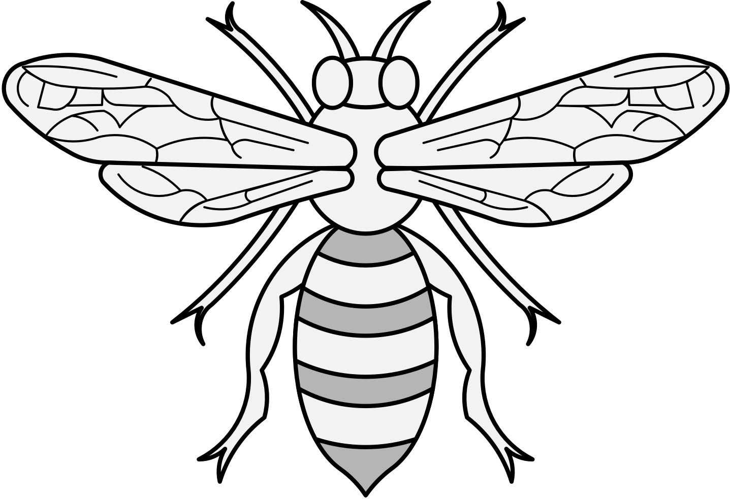 Honey Bee Illustration PNG