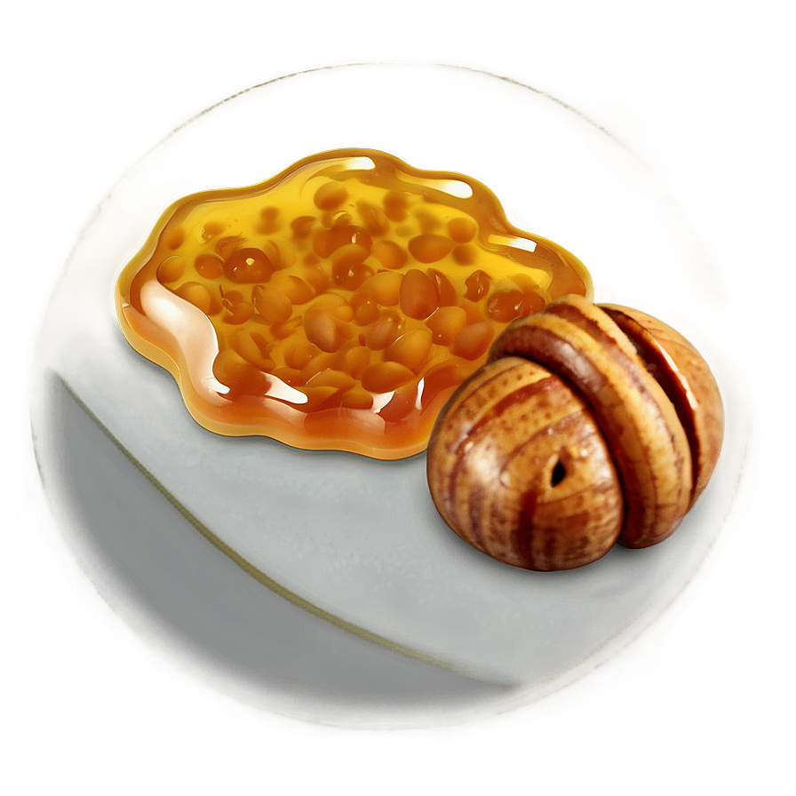 Honey With Nuts Png 05242024 PNG