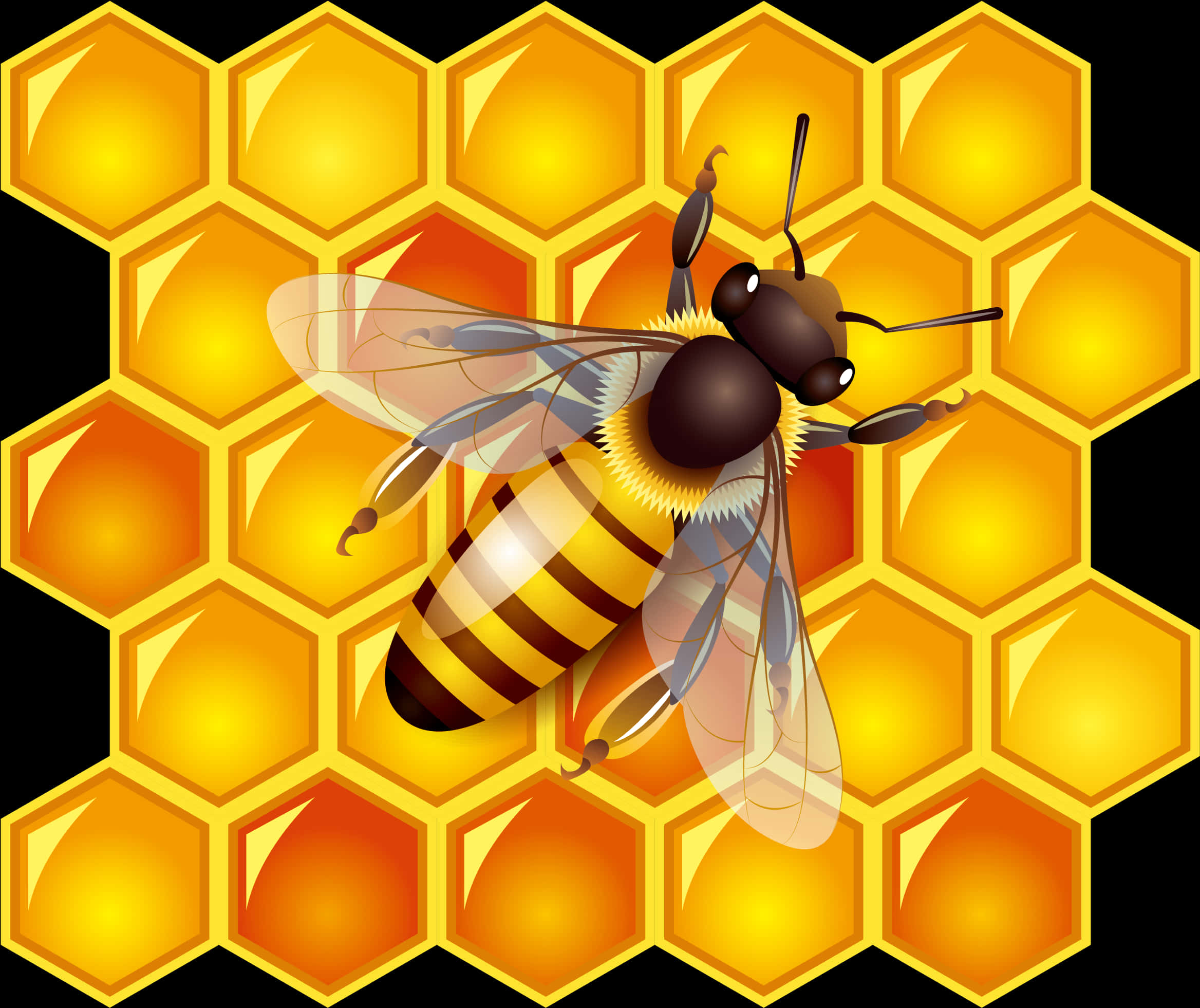 Honeybeeon Hexagon Pattern PNG