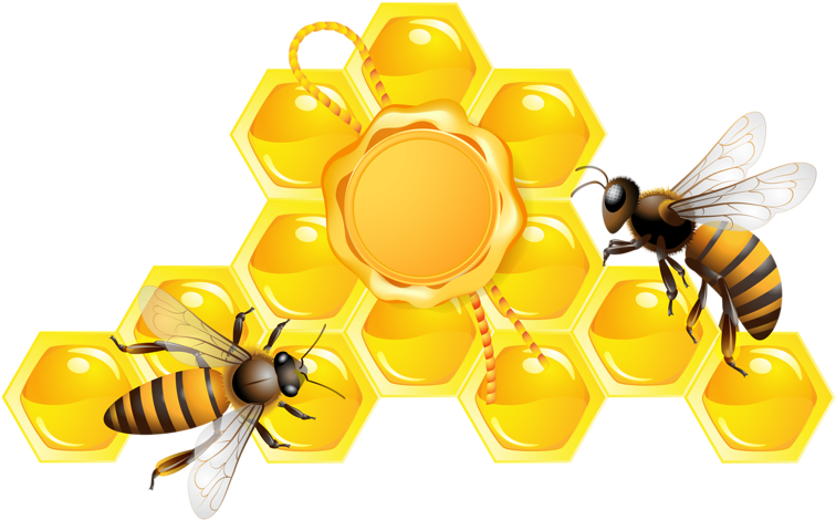 Honeybeeon Honeycomb Clipart PNG