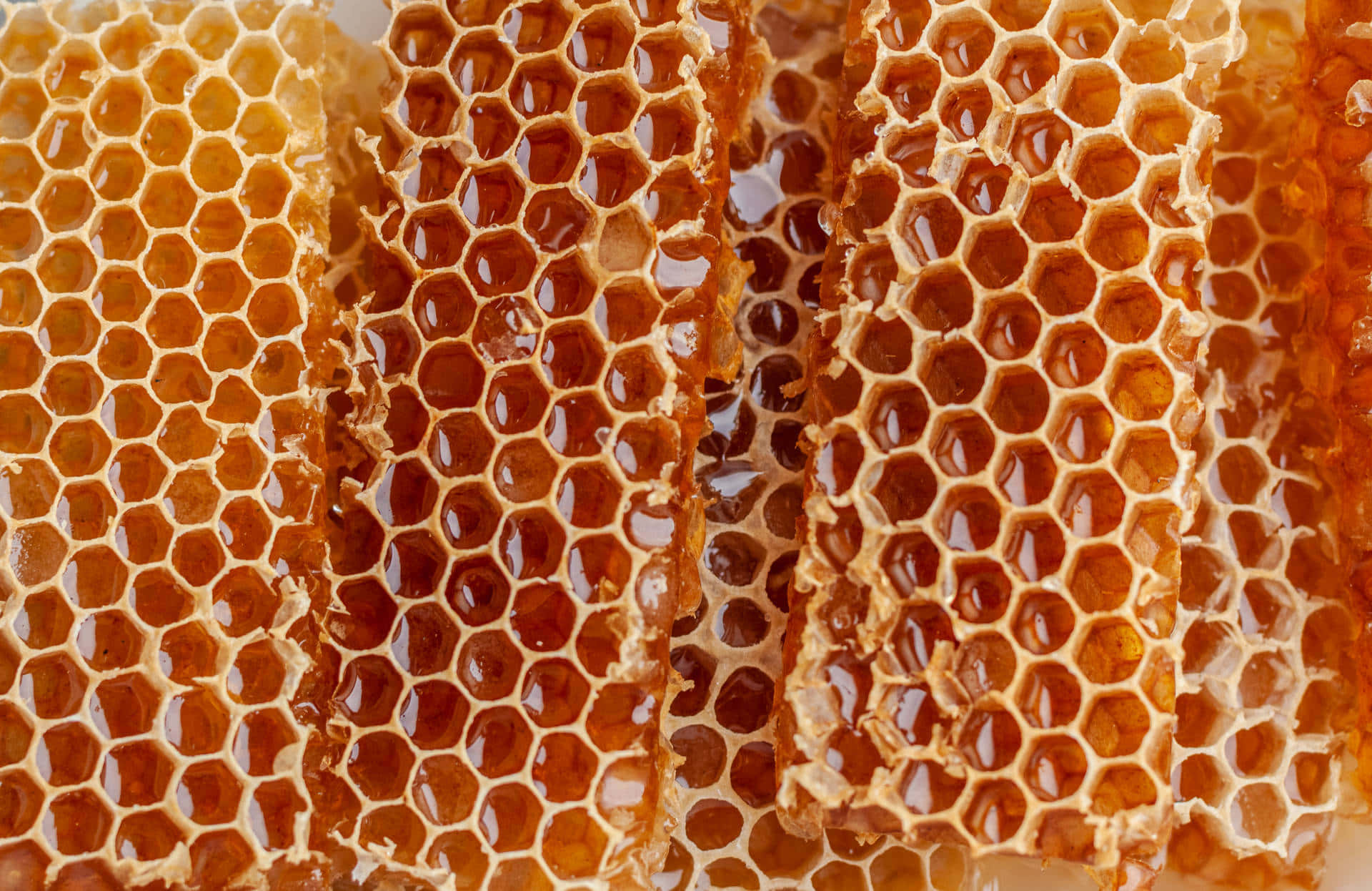 Honigwabenhintergrund