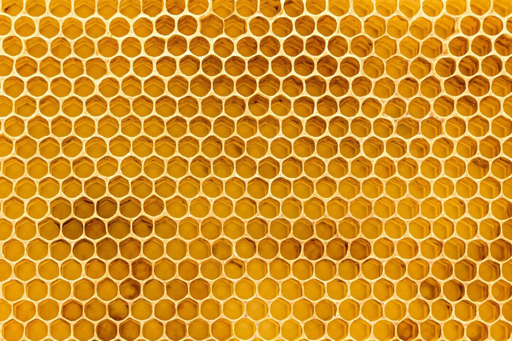 Honeycomb Structure